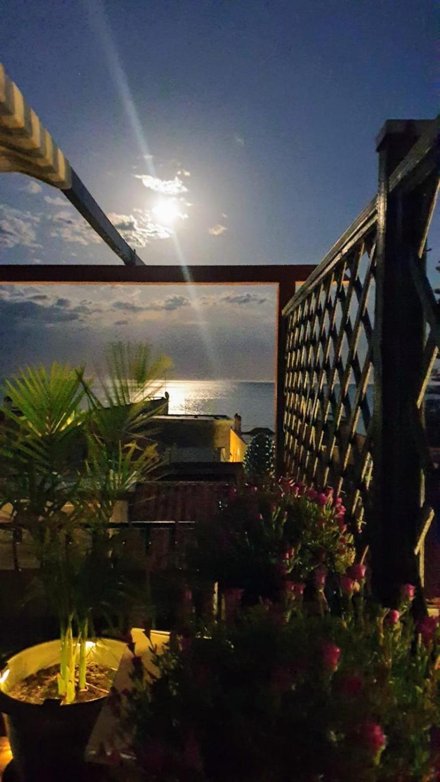 Terrazza Enjoy Apartment เลโตยานนี ภายนอก รูปภาพ